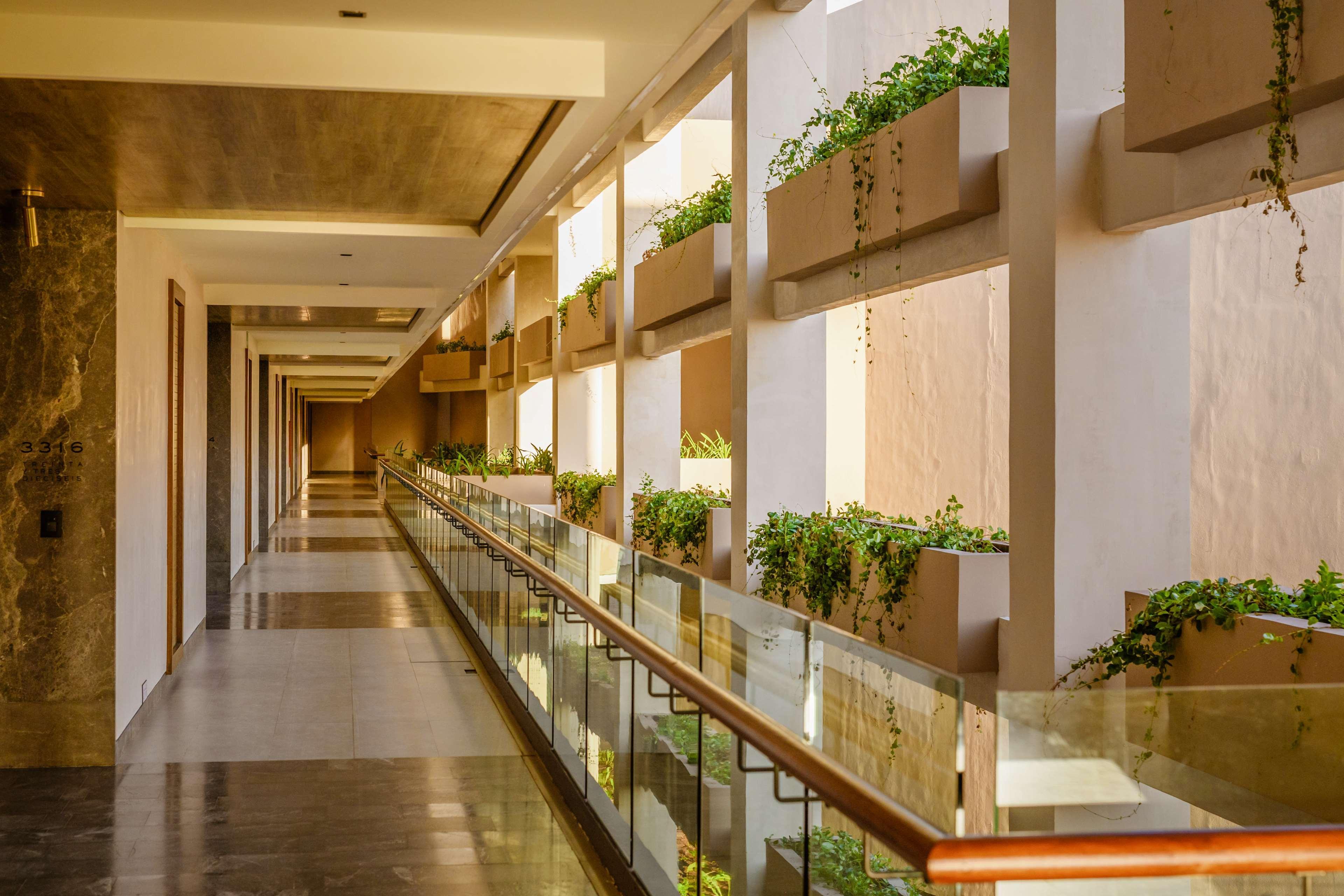 Estudio Playa Mujeres Cancún Exteriör bild